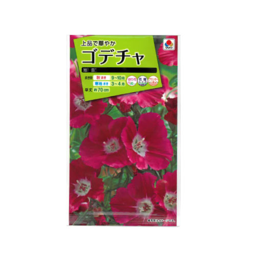 ゴデチャ 旭盃