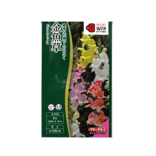 金魚草 カリヨンミックス