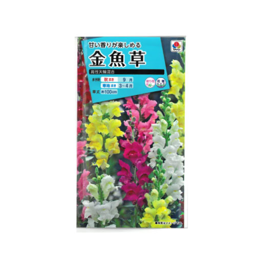 金魚草 高性大輪混合