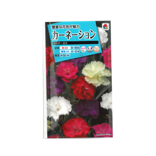 カーネーション シャボー混合