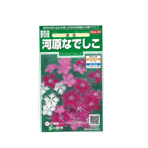河原なでしこ 混合