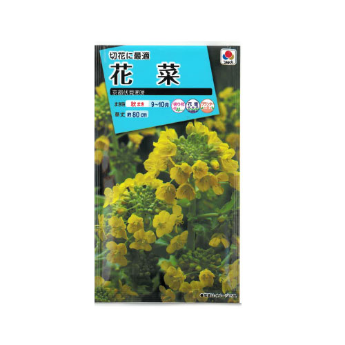 花菜 京都伏見寒咲