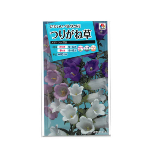 つりがね草 メディウム混合