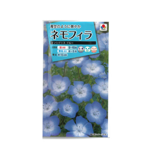ネモフィラ インシグニスブルー