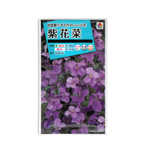 紫花菜