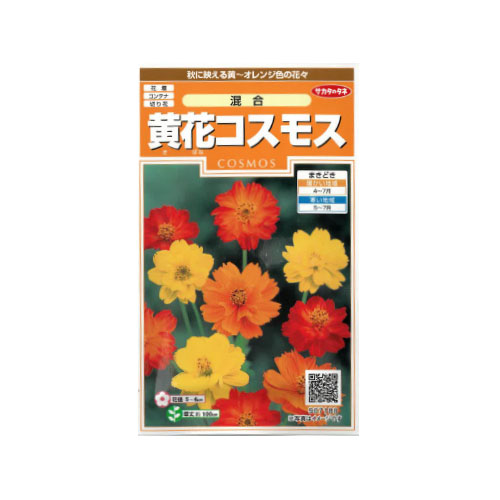 黄花コスモス 混合