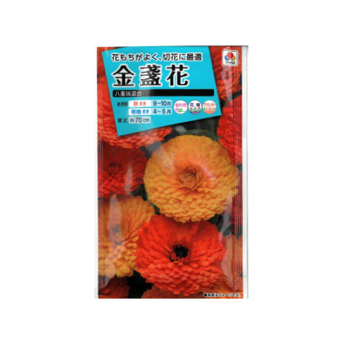 金盞花 八重咲混合
