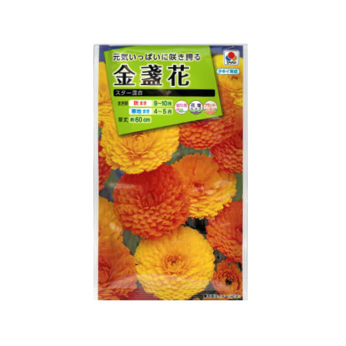 金盞花 スター混合