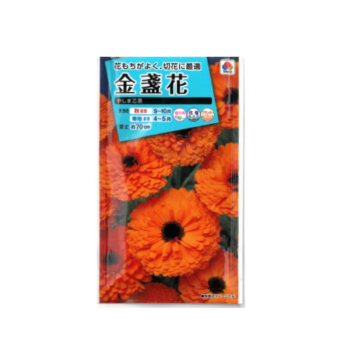 金盞花 やしま芯黒