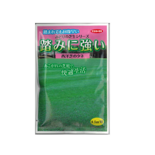 西洋芝 踏みに強い