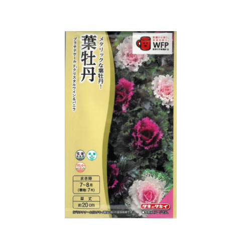 葉牡丹 プラチナケール クリスタルワイン＆バニラ