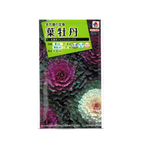 葉牡丹 丸葉系フレッシュミックス