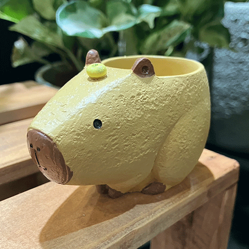 ミニミニレジンポット カピバラ