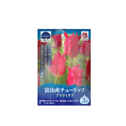 富山産チューリップ プリティラブ 3球入り