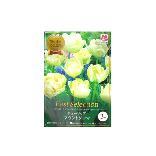 チューリップ マウントタコマ 3球入り