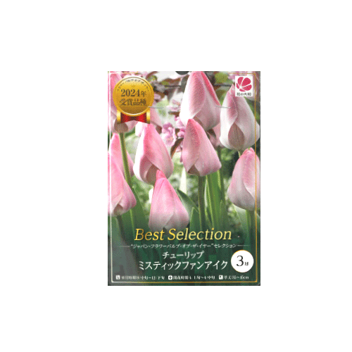 チューリップ ミスティックファンアイク 3球入り