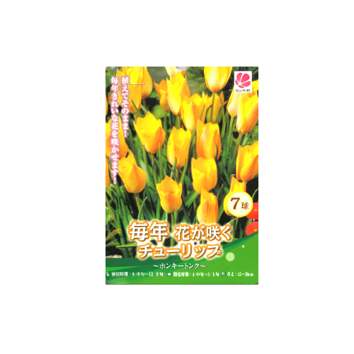 チューリップ ホンキートンク 7球入り
