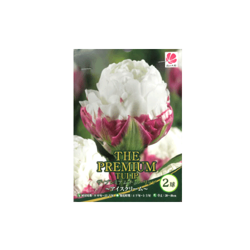 ザ・プレミアムチューリップ アイスクリーム 2球入り