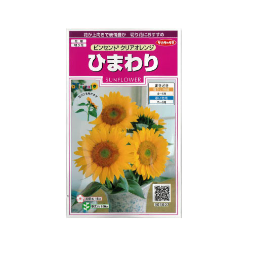 ヒマワリ ビンセントクリアオレンジ