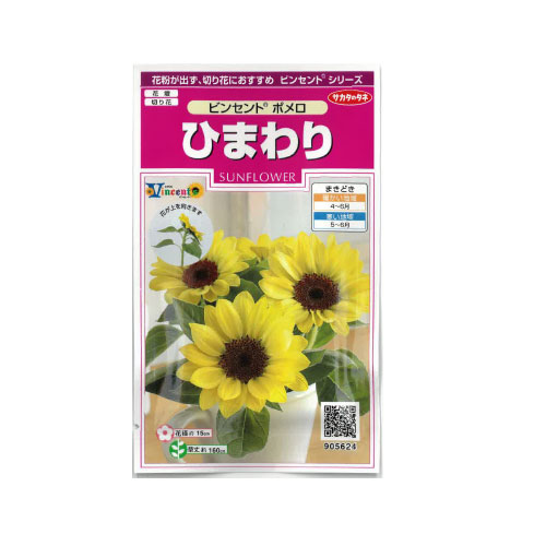 ヒマワリ ビンセントポメロ