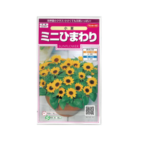 ミニヒマワリ 小夏