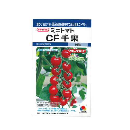タキイ種苗 CF千果 ミニトマト