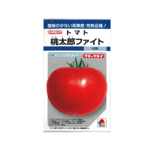 タキイ種苗 桃太郎ファイト 大玉トマト