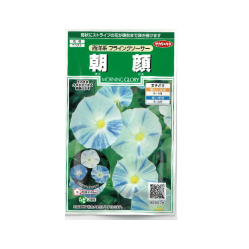 朝顔 西洋系フライングソーサー