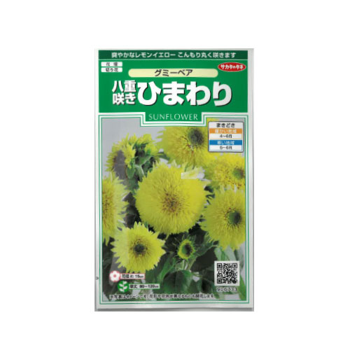 八重咲ヒマワリ グミーベア