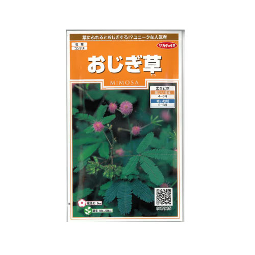 おじぎ草