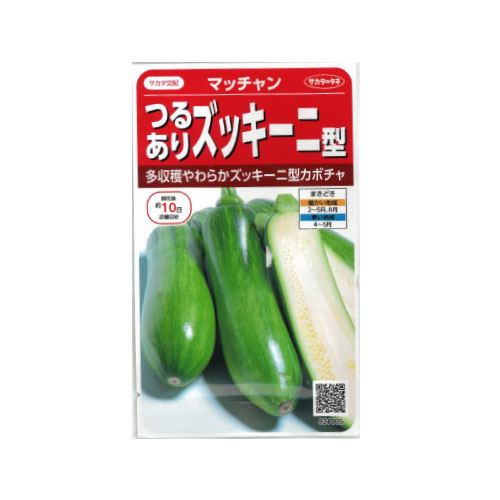 サカタのタネ マッチャン ズッキーニ型カボチャ