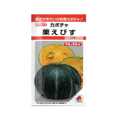 タキイ種苗 栗えびす カボチャ