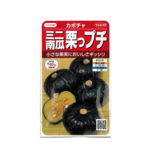 サカタのタネ 栗っプチ ミニカボチャ