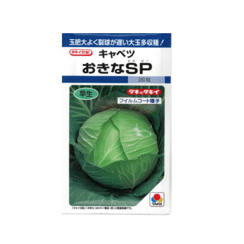 タキイ種苗 おきなSP キャベツ