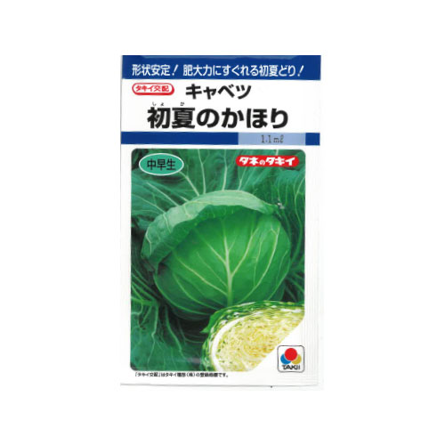 タキイ種苗 初夏のかほり キャベツ