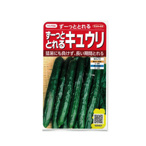 サカタのタネ ずーっととれる キュウリ