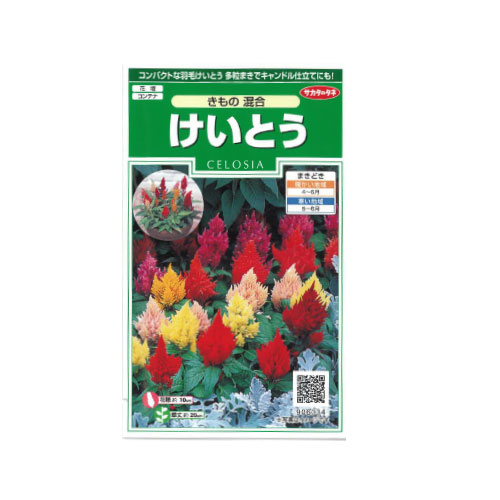 ケイトウ きもの混合