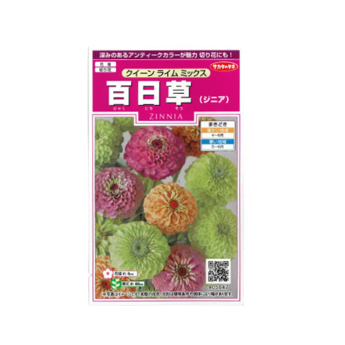 ジニア クイーンライムミックス