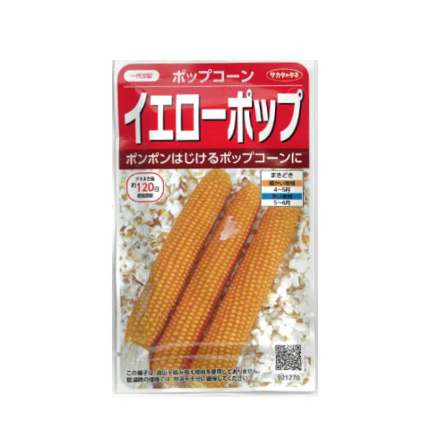 サカタのタネ イエローポップ トウモロコシ