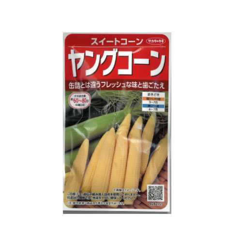 ヤングコーン スイートコーン