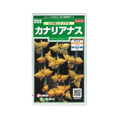 カナリアナス とげなし観賞用ナス