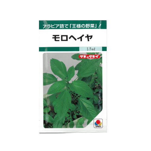 モロヘイヤ