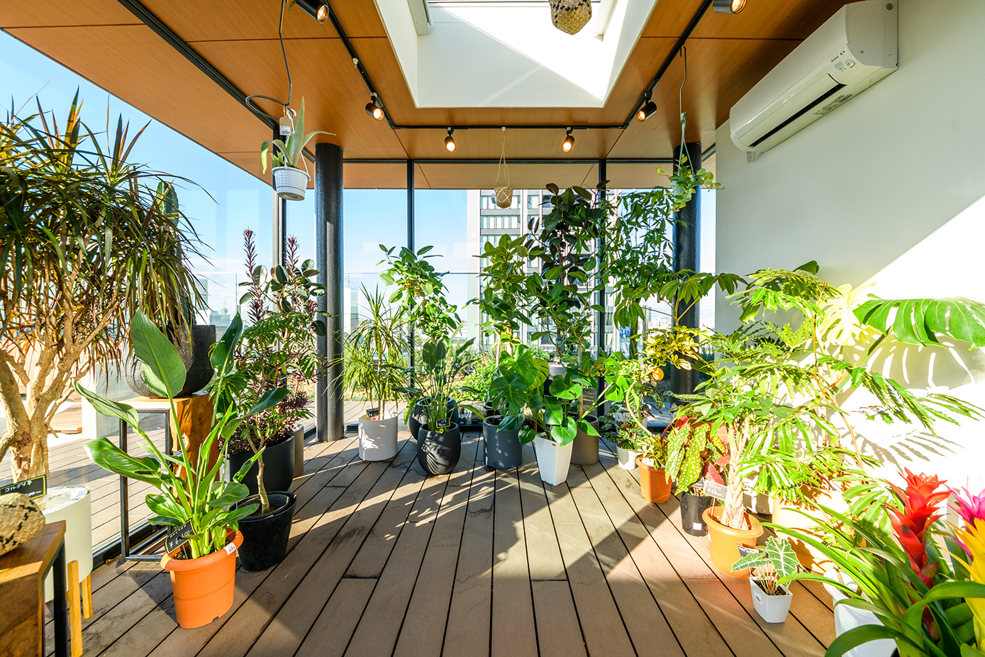 gallery03